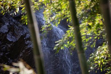 另类RPG《活侠传》限时试玩demo上线 发售日期待定