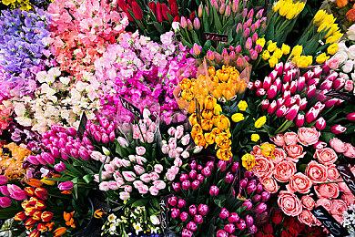 味道回来了！《波斯王子：失落王冠》广受好评