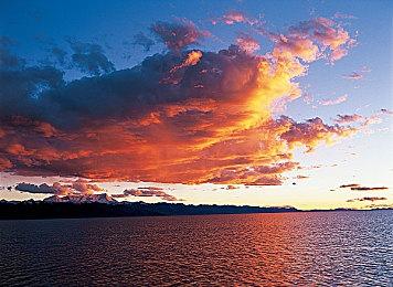 《漫威蜘蛛侠2》开发者讨论是否会有“毒液”衍生游戏：取决于粉丝的意愿